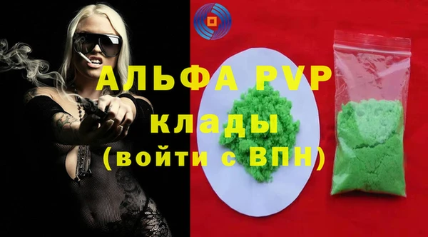 ГАЛЛЮЦИНОГЕННЫЕ ГРИБЫ Корсаков