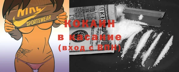 ГАЛЛЮЦИНОГЕННЫЕ ГРИБЫ Корсаков