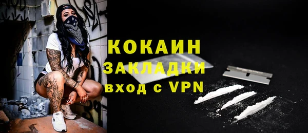 гашик Коряжма
