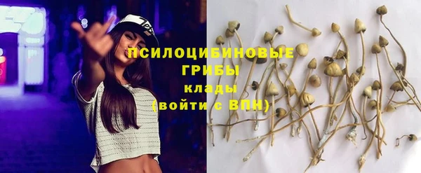 гашик Коряжма