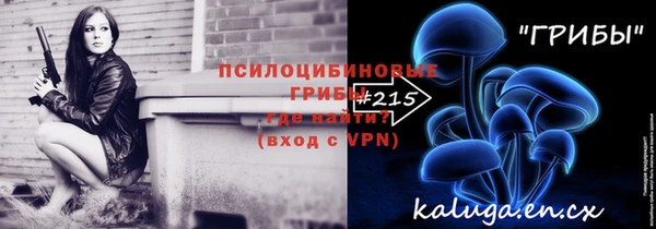 ГАЛЛЮЦИНОГЕННЫЕ ГРИБЫ Корсаков