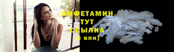 ГАЛЛЮЦИНОГЕННЫЕ ГРИБЫ Корсаков