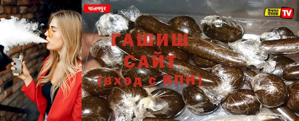 ГАЛЛЮЦИНОГЕННЫЕ ГРИБЫ Корсаков
