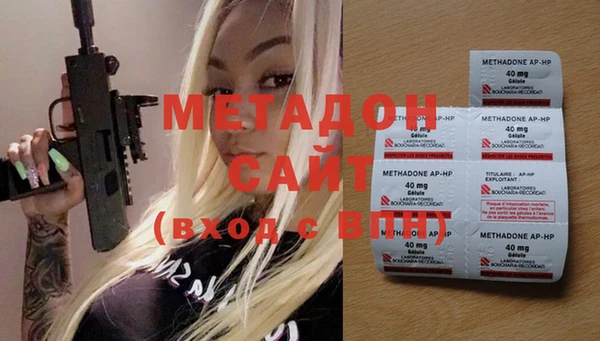 ГАЛЛЮЦИНОГЕННЫЕ ГРИБЫ Корсаков