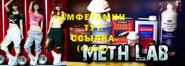 ГАЛЛЮЦИНОГЕННЫЕ ГРИБЫ Корсаков