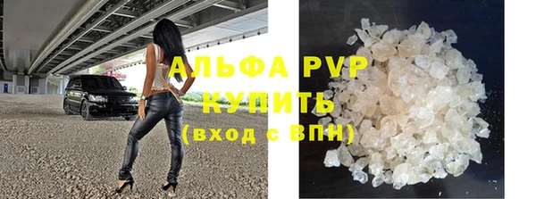 ГАЛЛЮЦИНОГЕННЫЕ ГРИБЫ Корсаков