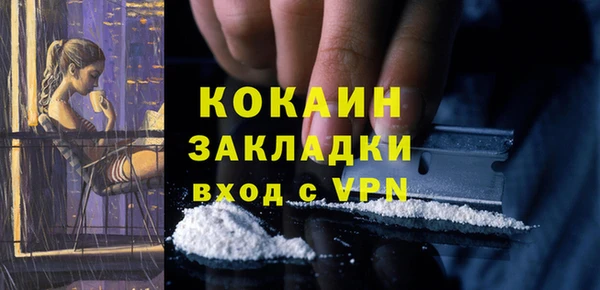 гашик Коряжма