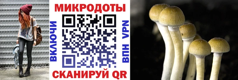 Псилоцибиновые грибы мицелий  как найти наркотики  Лысьва 